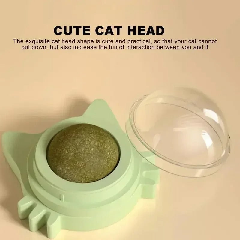 Interactive Catnip Wall Spin Ball