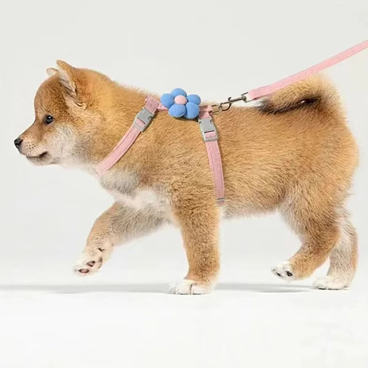 Adjustable Breathable Pet Harness Set