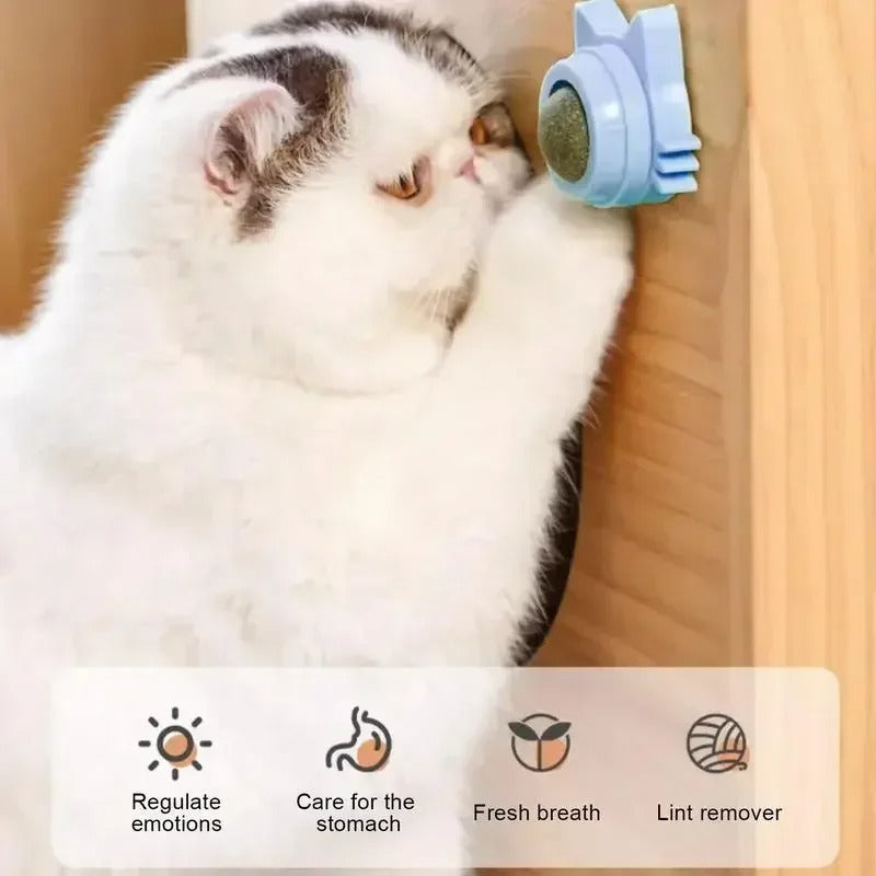 Interactive Catnip Wall Spin Ball