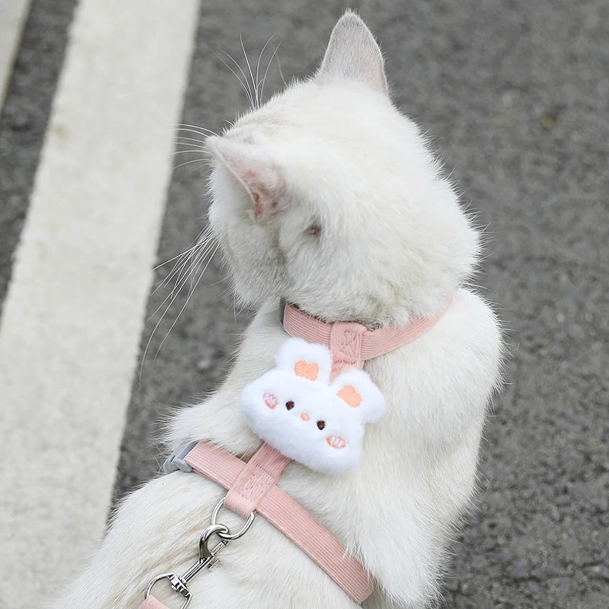 Adjustable Breathable Pet Harness Set