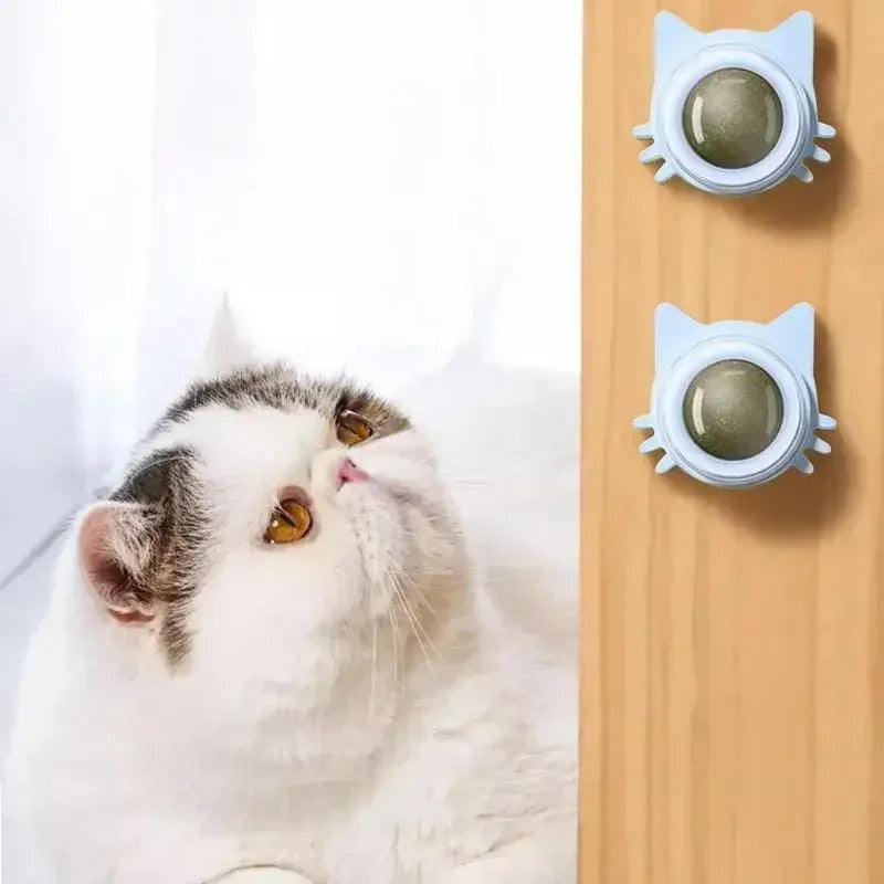 Interactive Catnip Wall Spin Ball