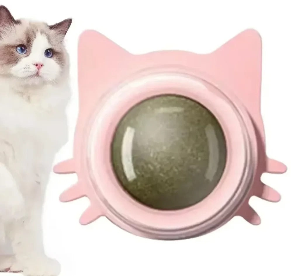 Interactive Catnip Wall Spin Ball