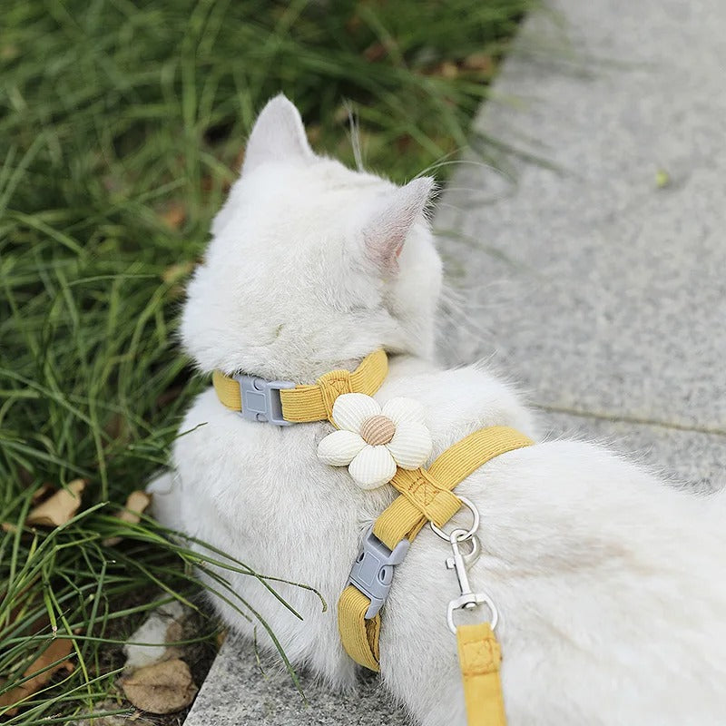 Adjustable Breathable Pet Harness Set
