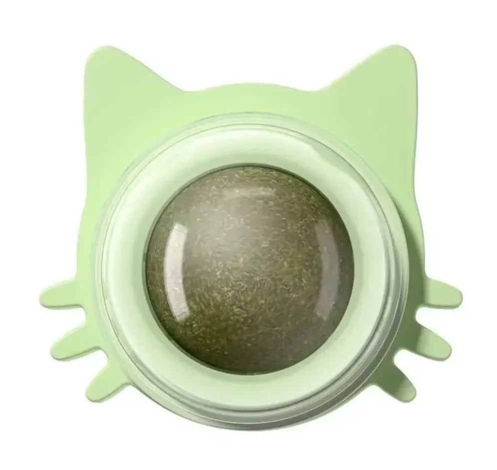 Interactive Catnip Wall Spin Ball