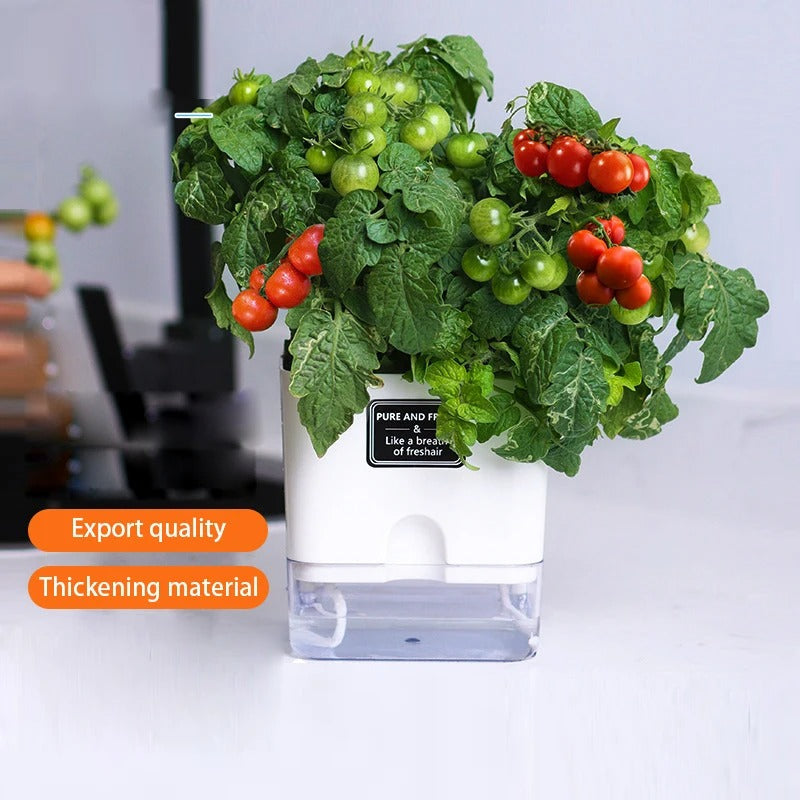 Self Watering Double Layer Plant Pot